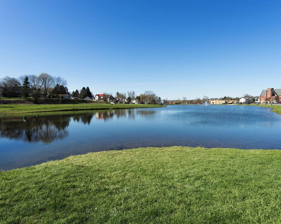 Lake view