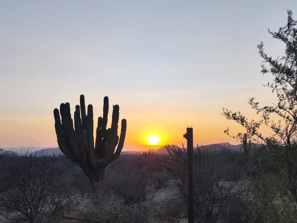 The Earthship and the Serpent Campground/ 
RV Resort in Baja California Sur