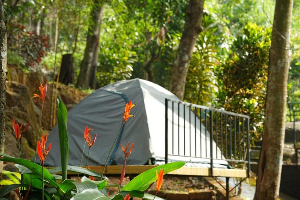 Glen Brooks Resorts Resort in Kerala