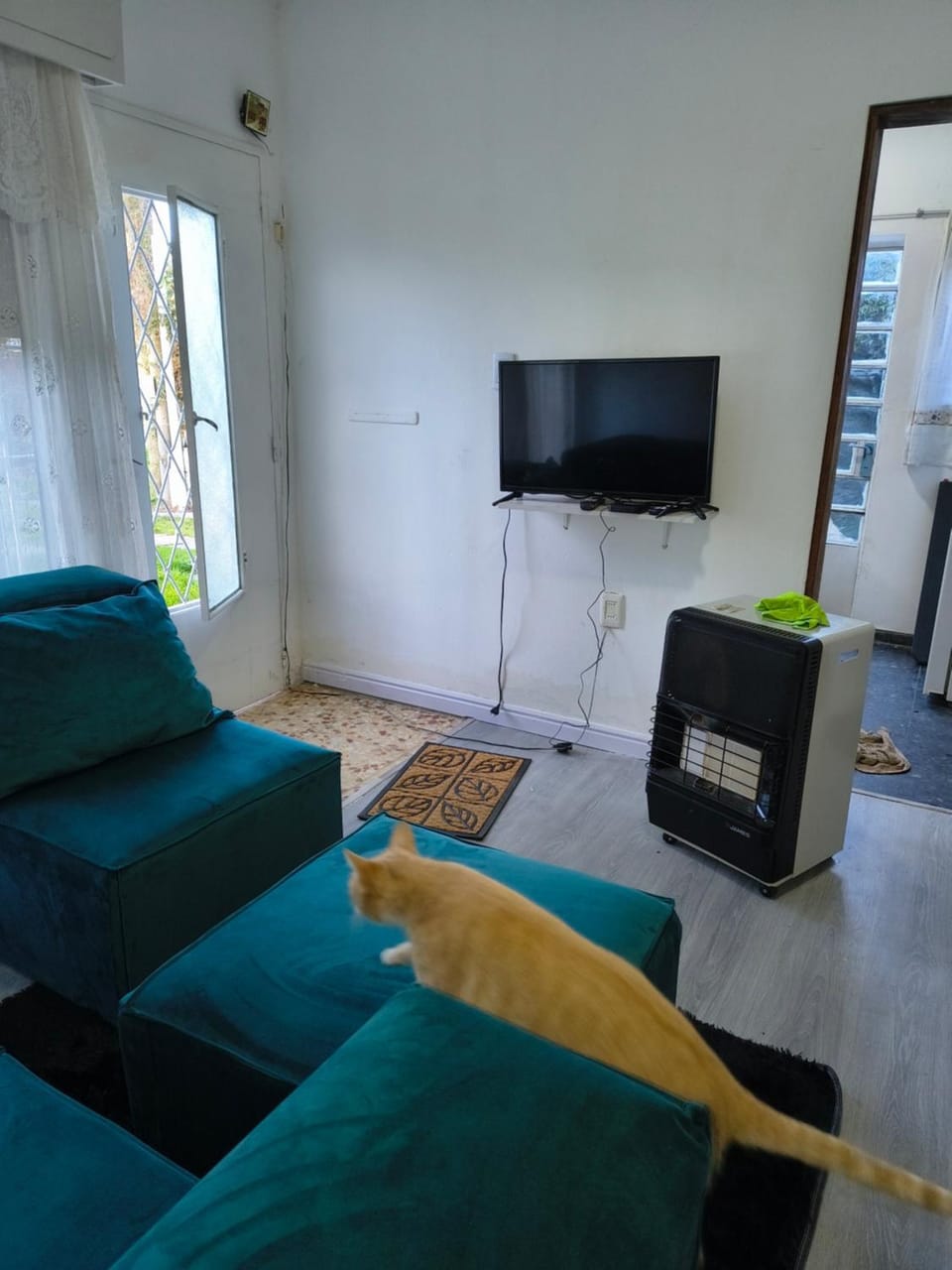 TV and multimedia
