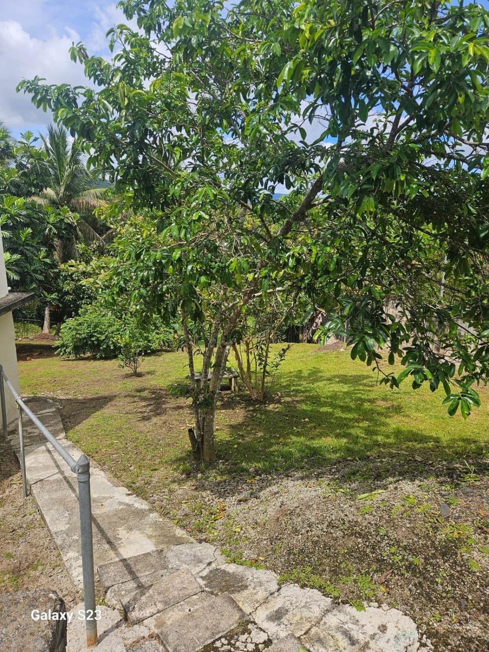 3BR Island Family Retreat House in Puerto Rico