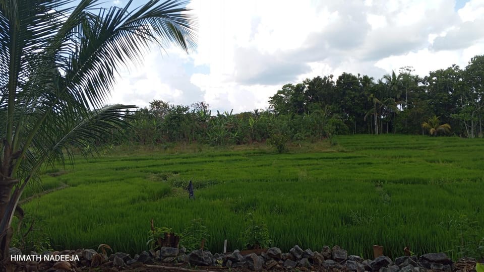 Sunset safari Resort and camp Hotel in Uva Province, Sri Lanka