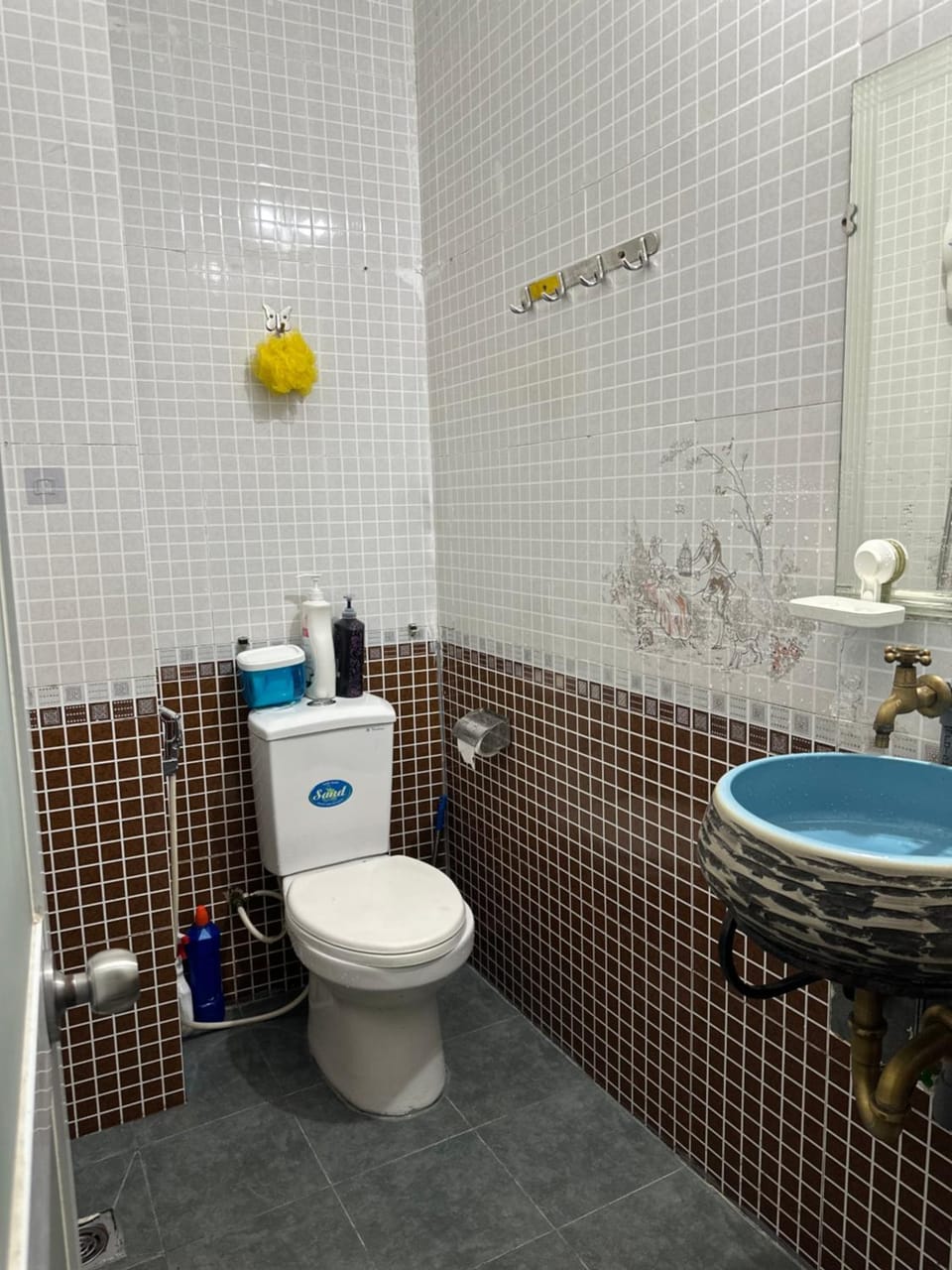 Toilet, Bathroom, bidet