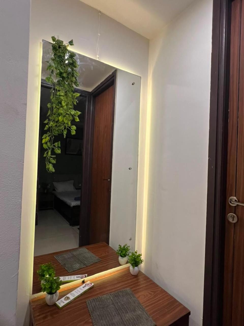Luxury 1BHK Self Check-in Balcony View Apartment in Punjab, India