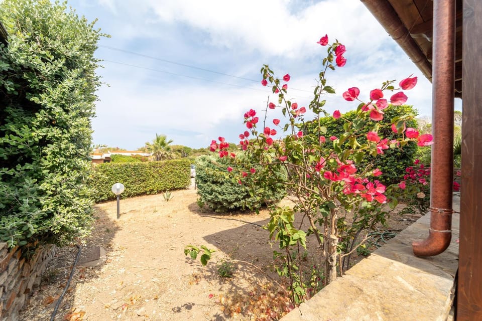 Day, Garden, Garden view