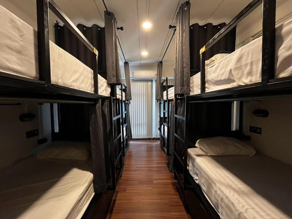 Bed, Photo of the whole room, Bedroom, bunk bed