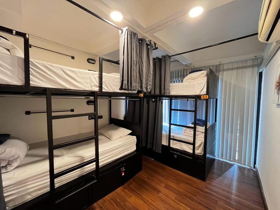 Bed, Photo of the whole room, Bedroom, bunk bed