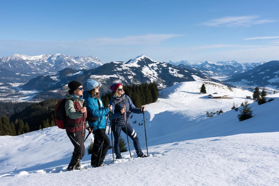 Winter, Mountain view, group of guests