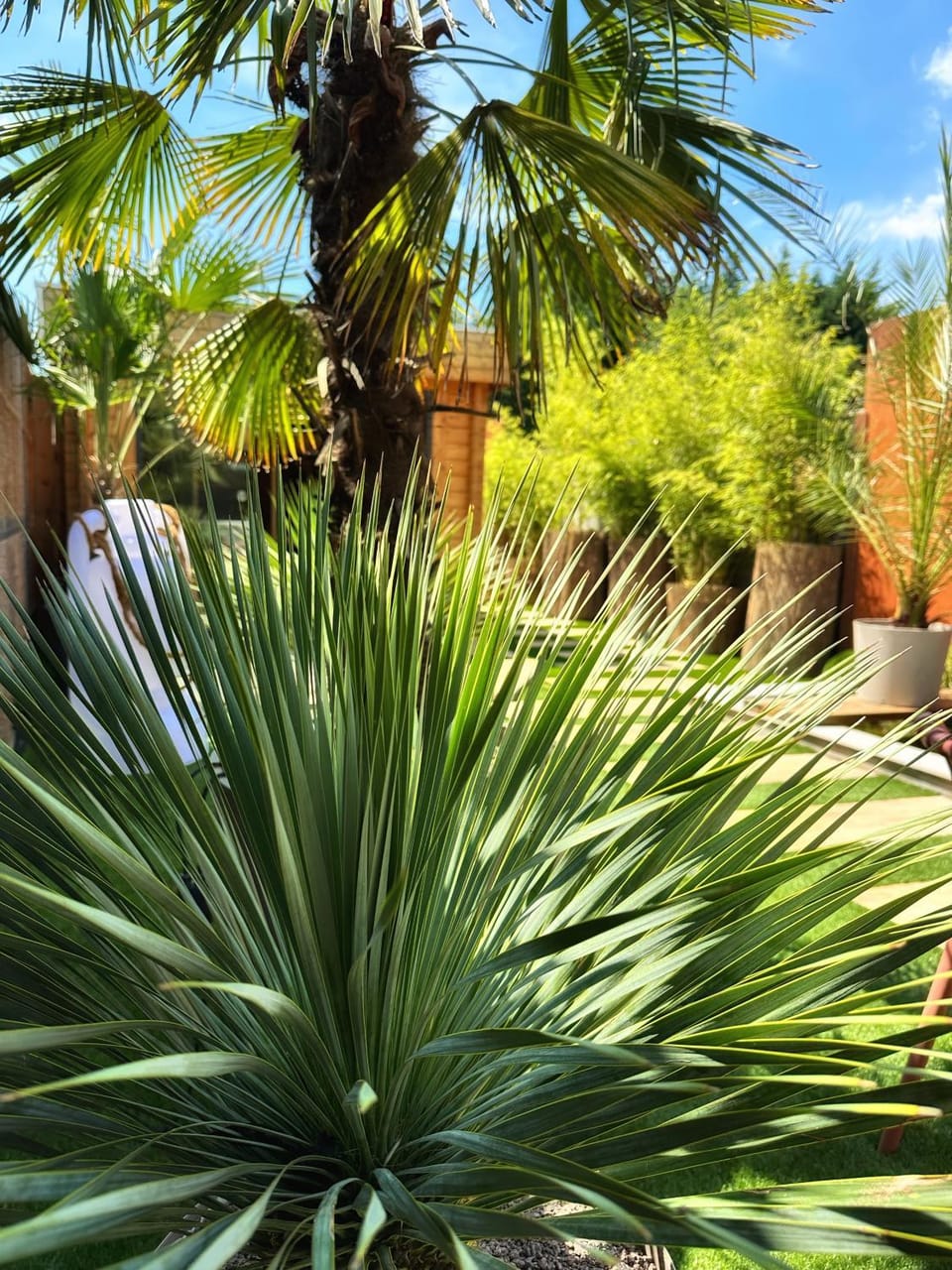 Garden, Balcony/Terrace, Garden view