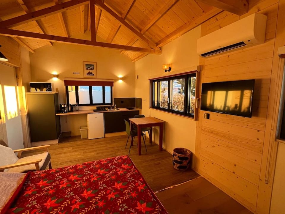 Kitchen or kitchenette, Dining area, stove