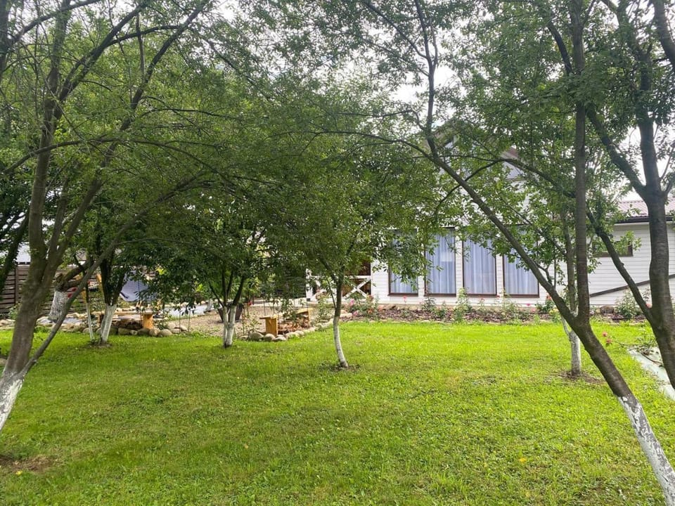 Garden, Garden view