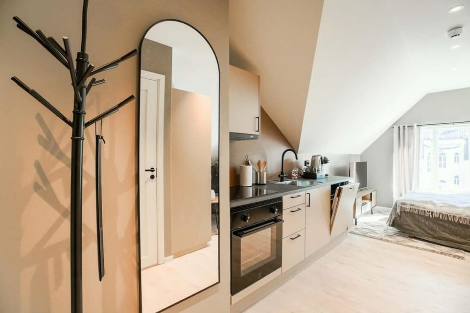 Modern entire apartment in center 304 for 2 guests Apartment in Viken, Norway