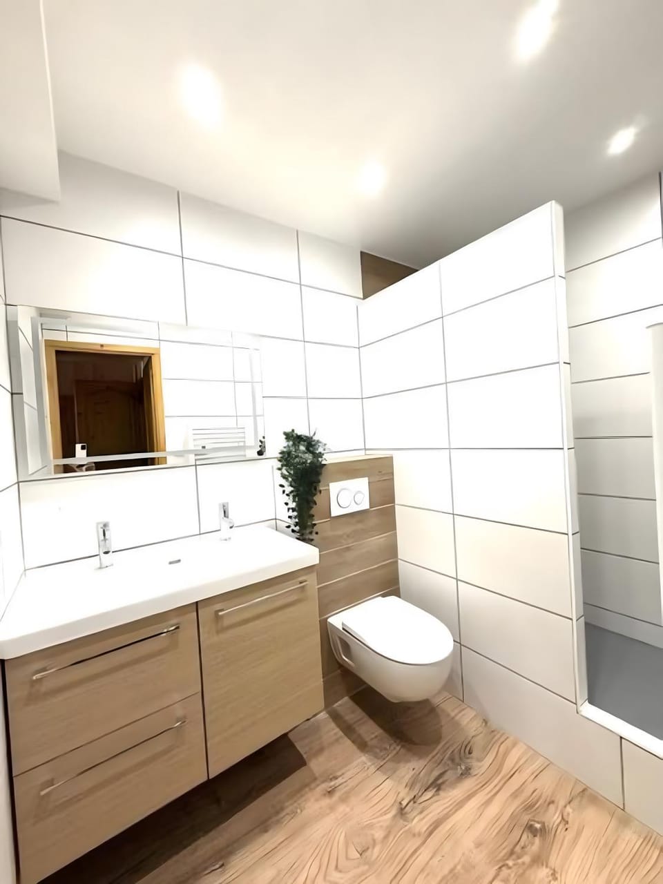 Bathroom, Living room