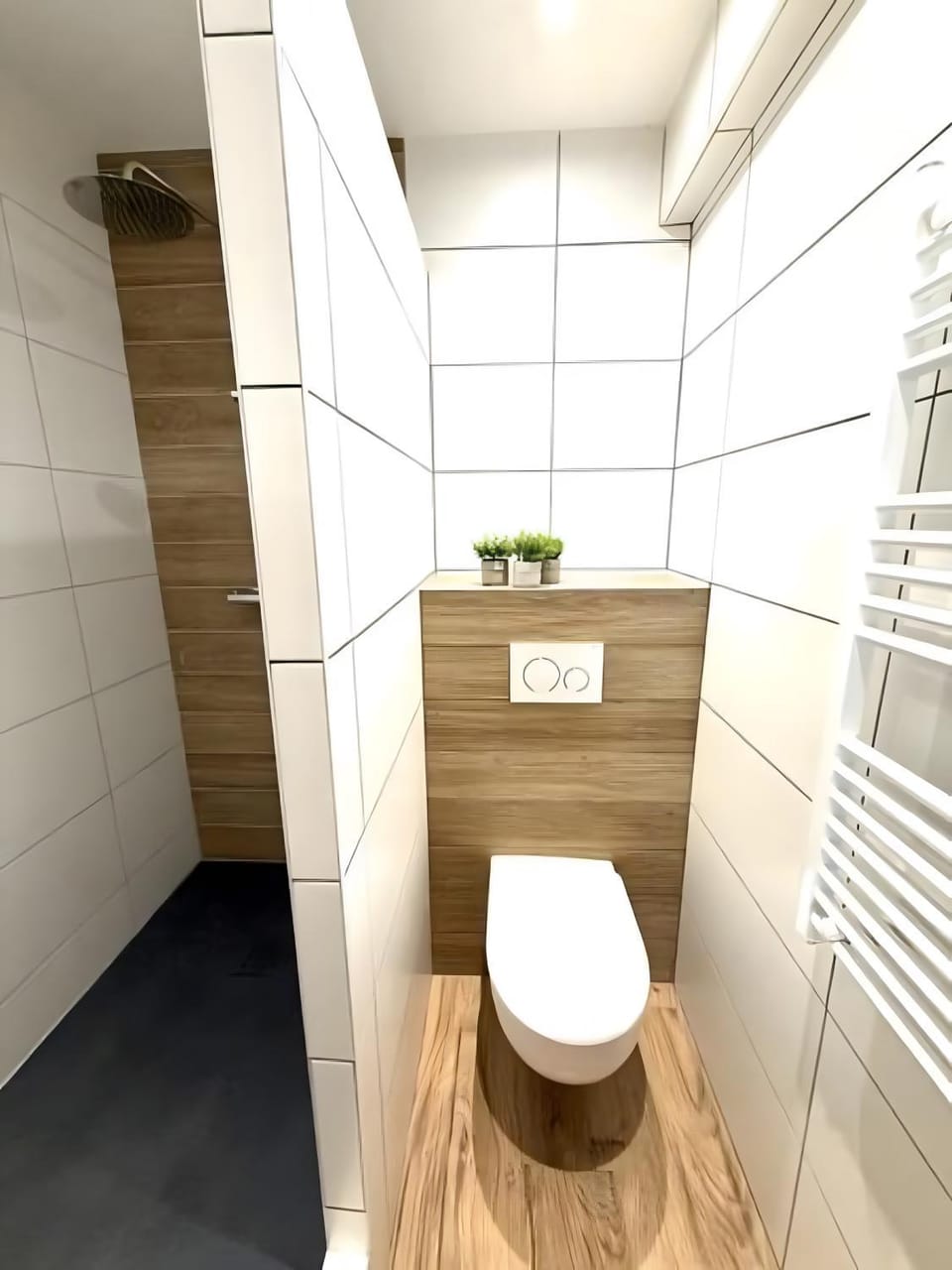 Bathroom, Living room