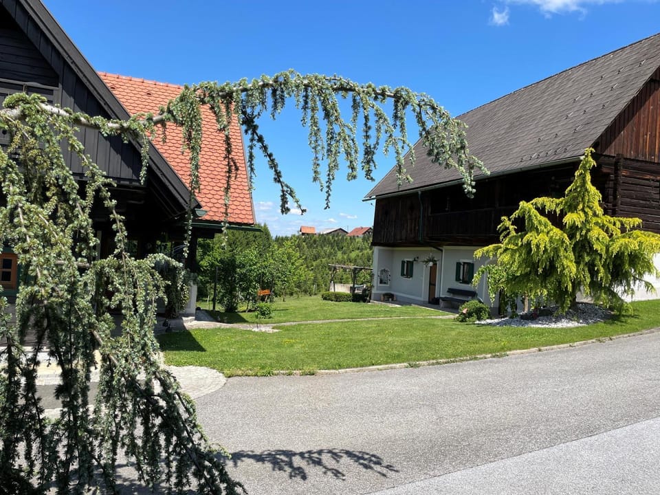 Property building, Spring