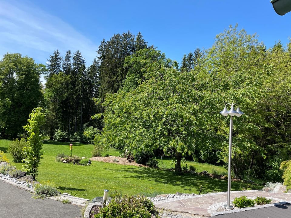 Spring, Natural landscape, Garden