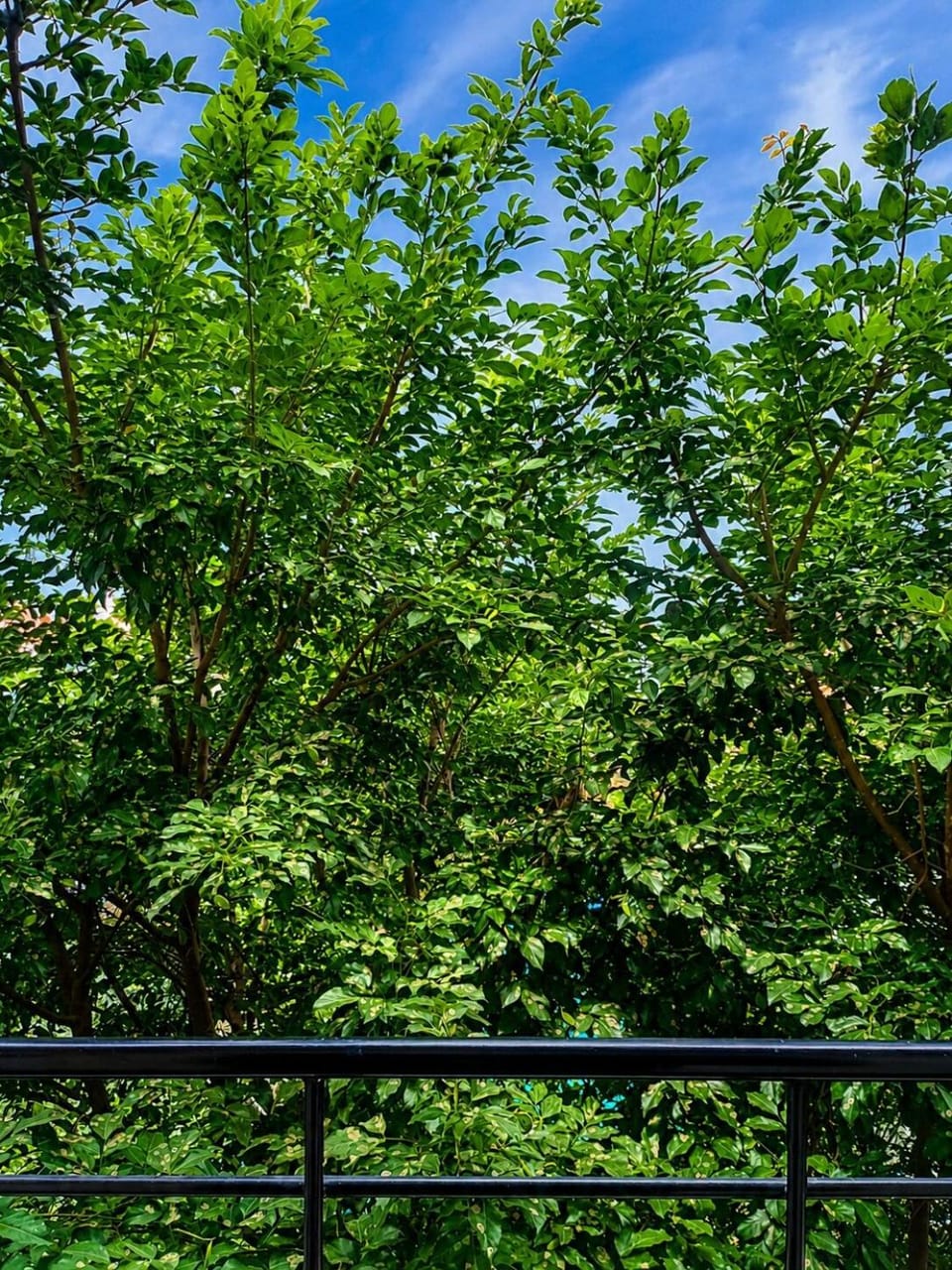 Premium 2BHK Near BIEC Chikkabidarakallu Metro Apartment in Bengaluru