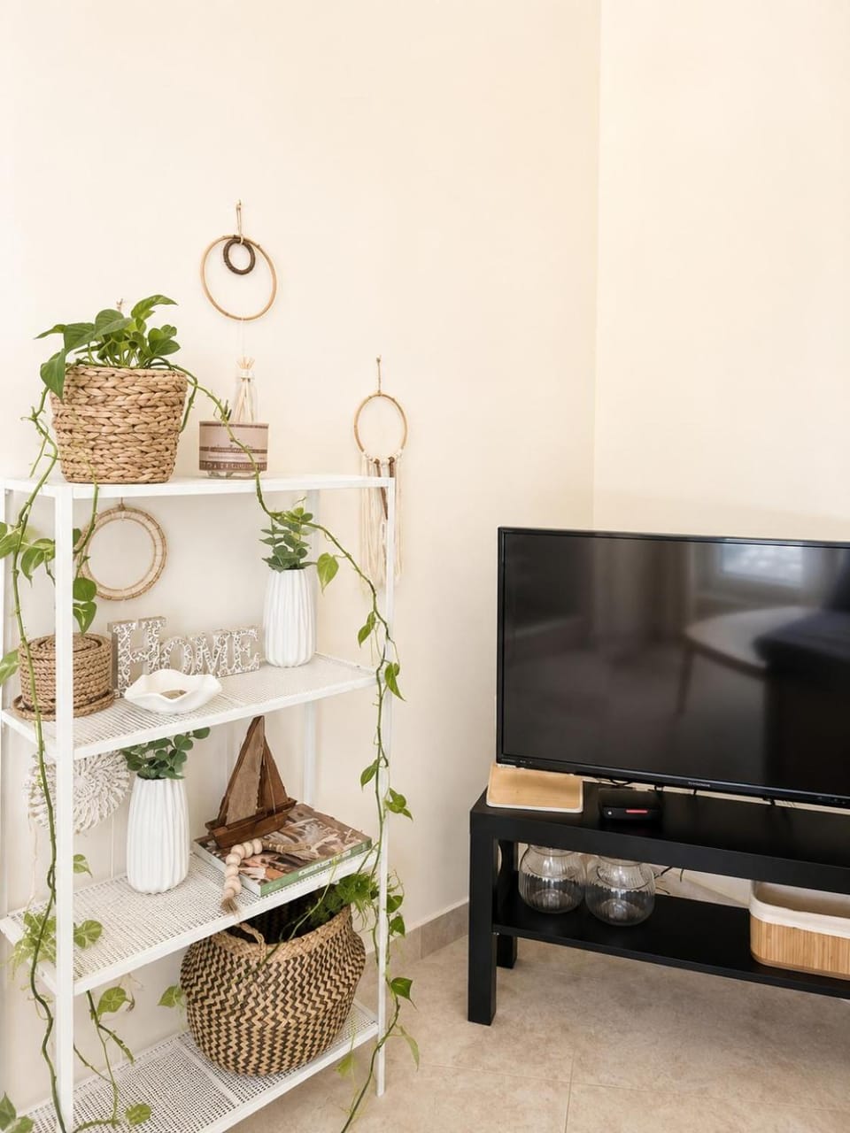TV and multimedia