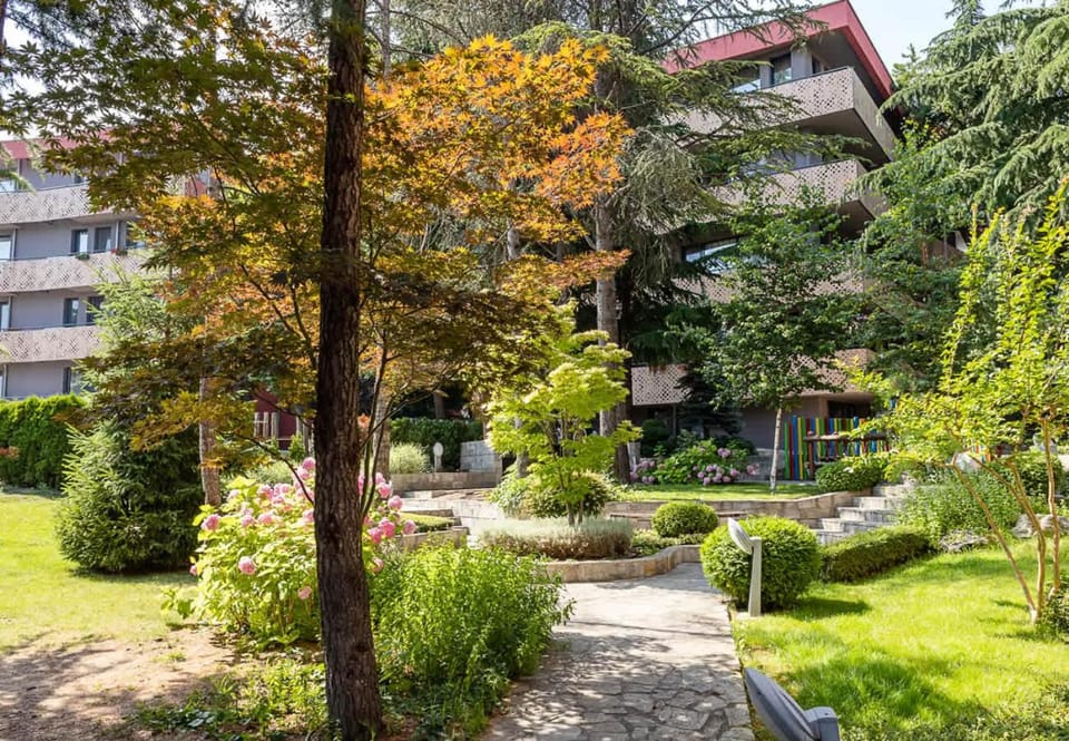 Property building, Natural landscape, Garden