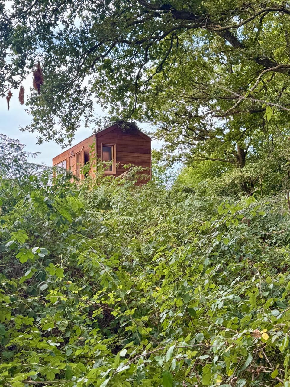 Property building, Natural landscape