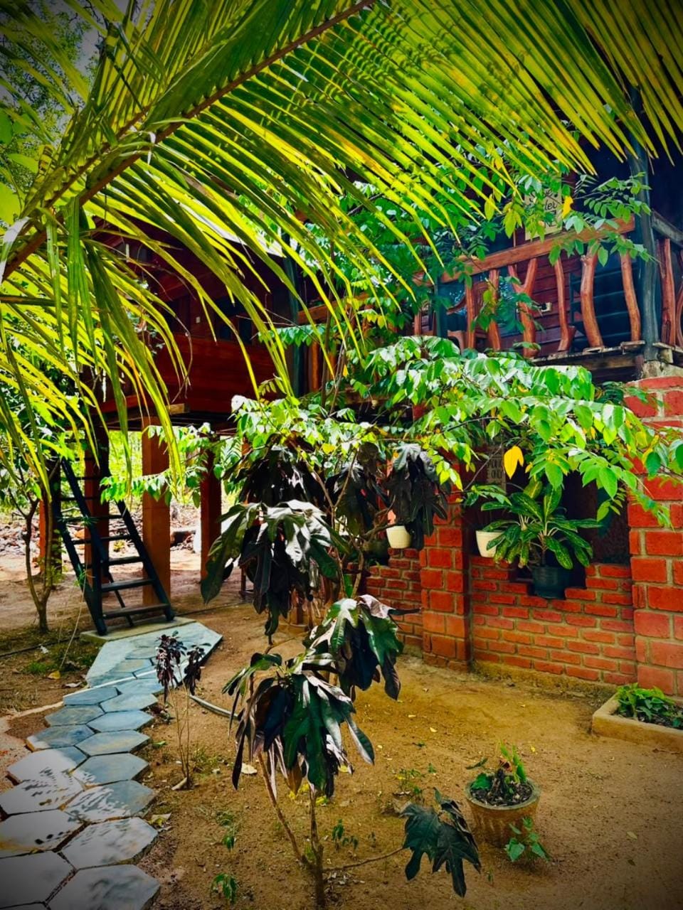 Garden view