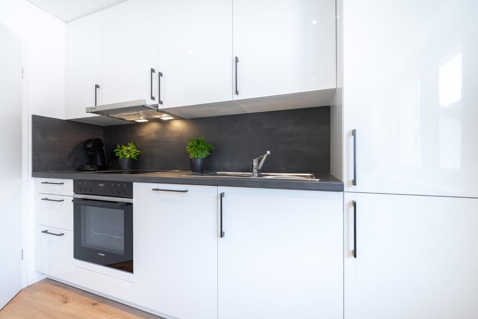 Kitchen or kitchenette, dishwasher, stove