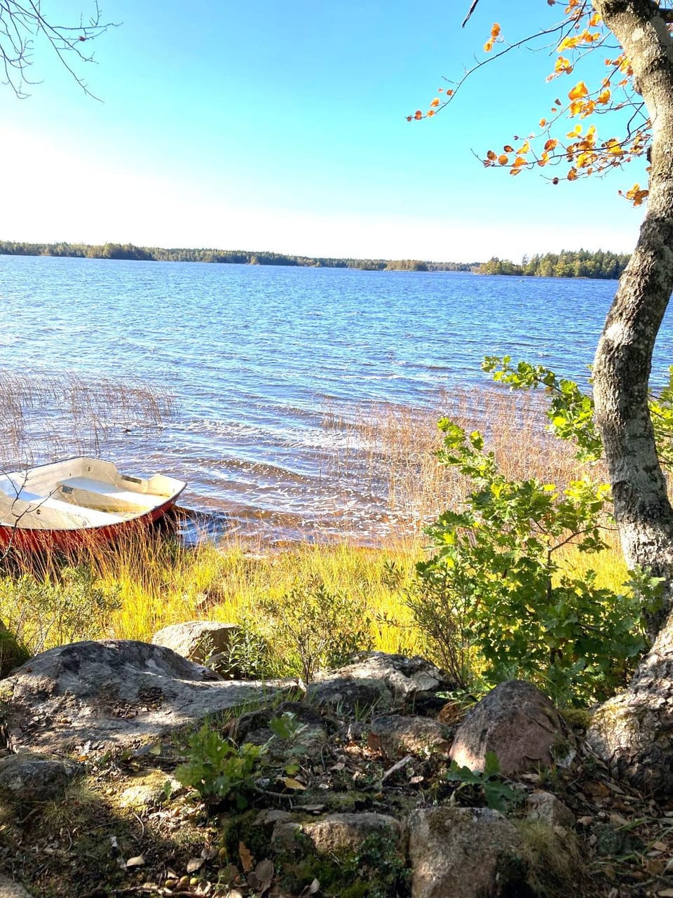 Lake view