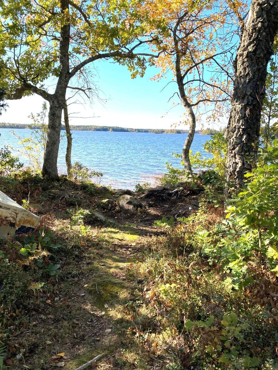 Lake view