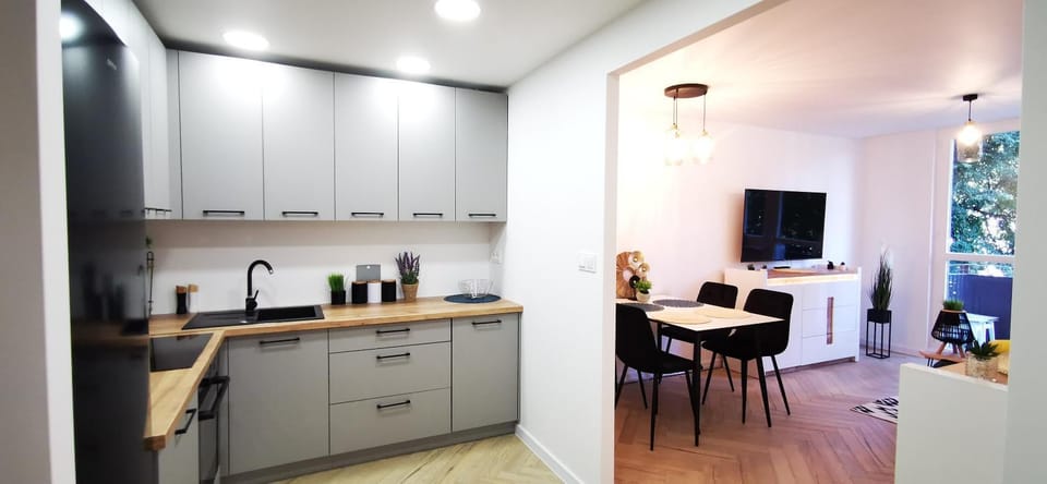 Kitchen or kitchenette, dishwasher, stove, washing machine