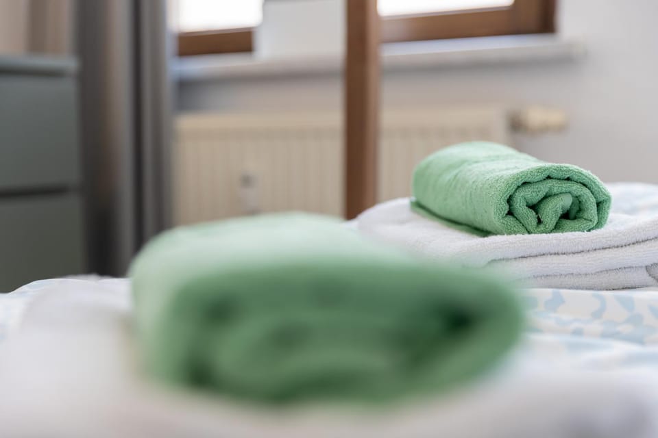 FLEX Aparts - möblierte, niedliche Ferienwohnung zentral in Zwickau Apartment in Zwickau