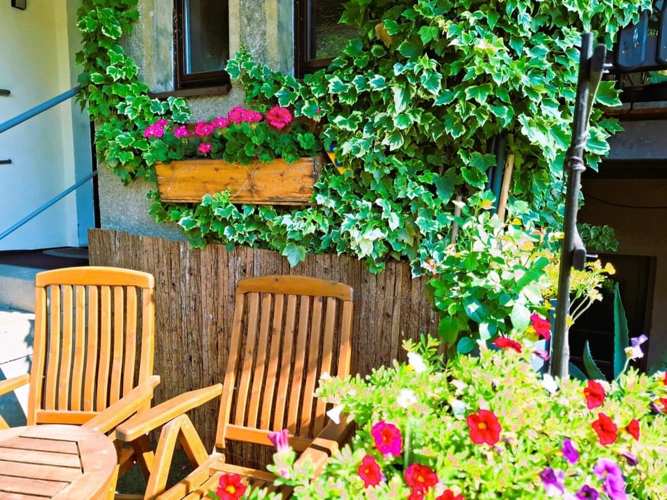 Patio, Spring, Garden, Garden view