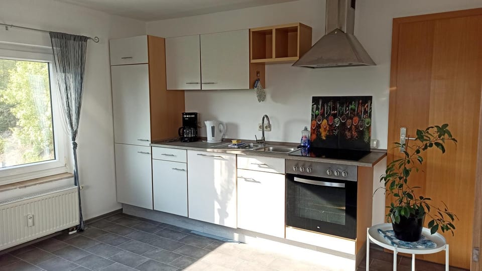 Kitchen or kitchenette, dishwasher, oven, stove