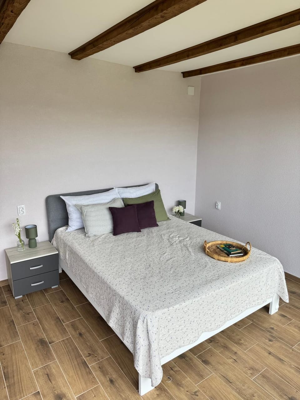 Apartman Domaja Apartment in Serbia
