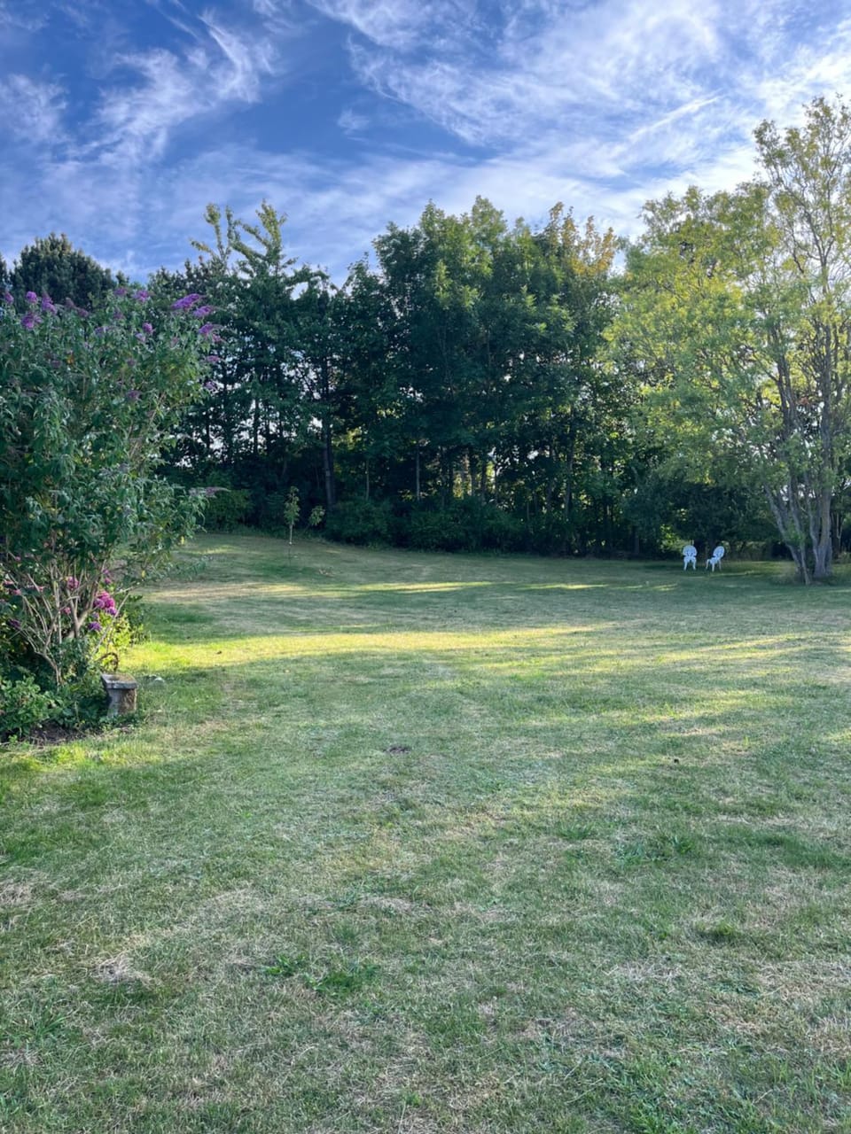Day, Garden, Garden