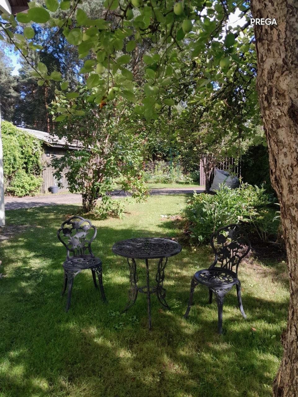 Garden view, furniture