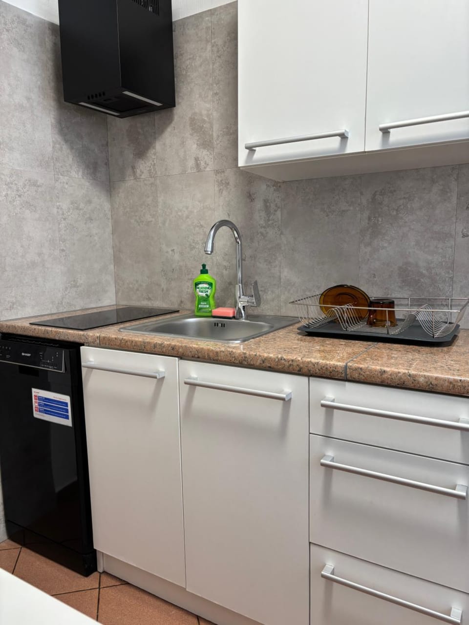 Kitchen or kitchenette, dishwasher