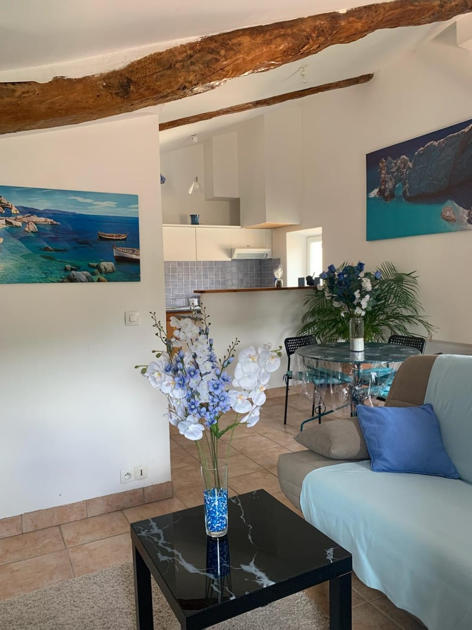 Le bleu des toits Apartment in Occitanie