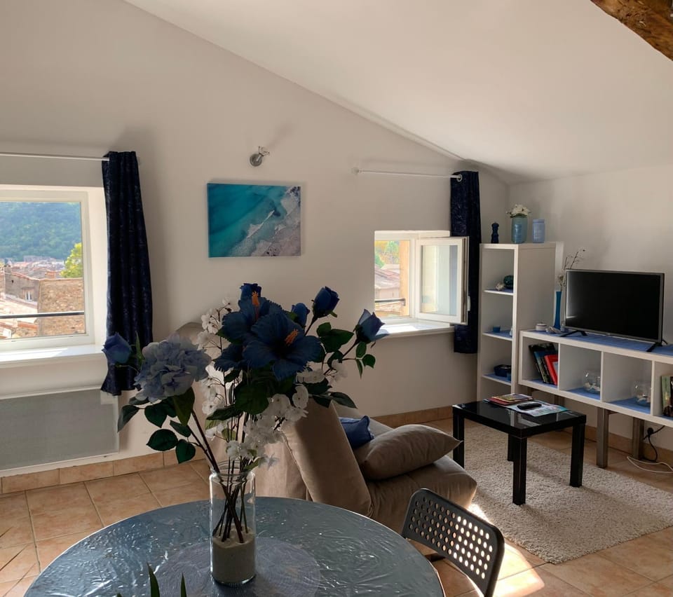 Le bleu des toits Apartment in Occitanie