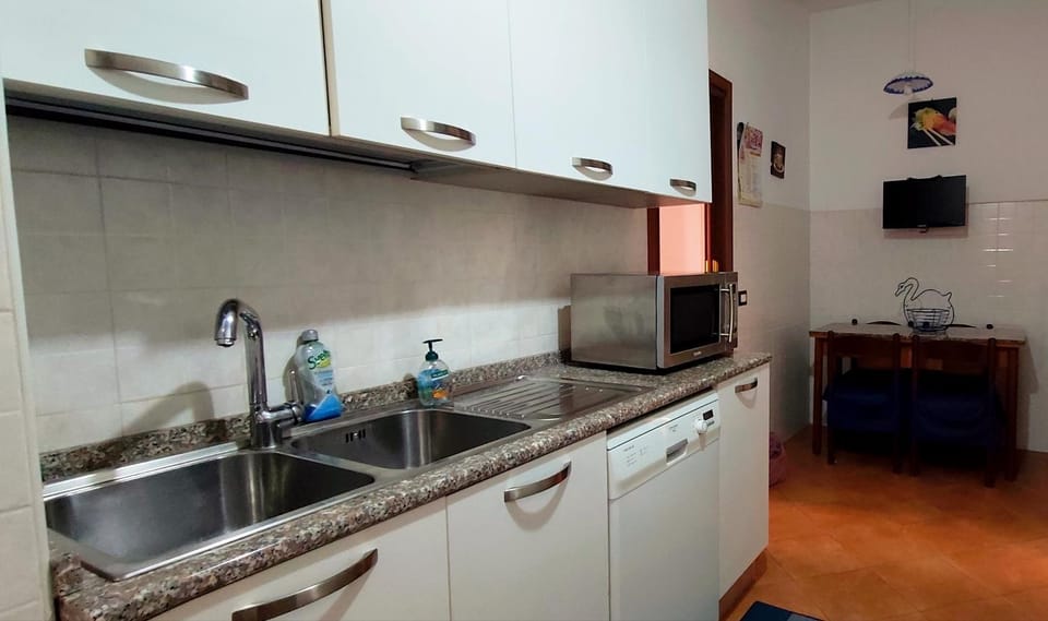 Kitchen or kitchenette, dishwasher, stove