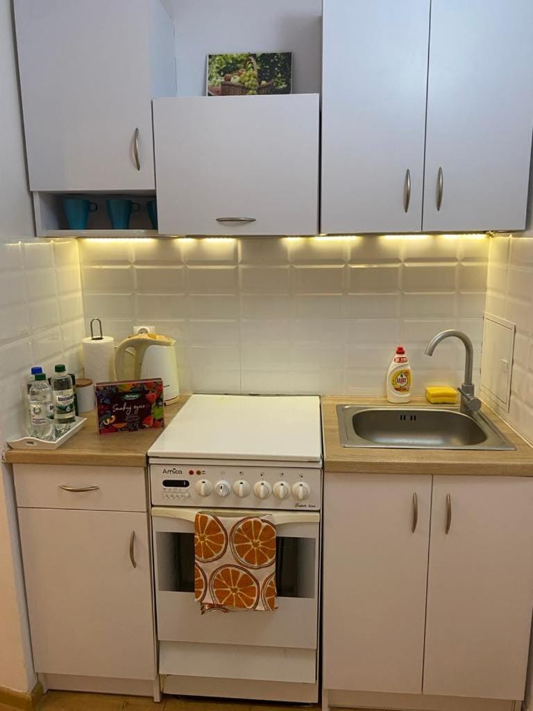 Przytulne mieszkanie blisko centrum Apartment in Poland