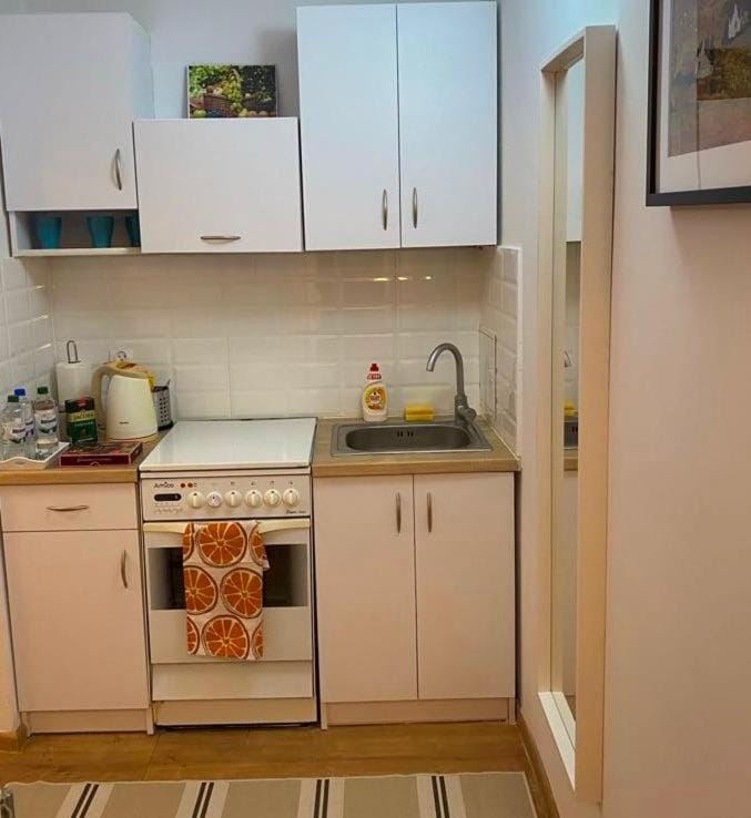 Przytulne mieszkanie blisko centrum Apartment in Poland