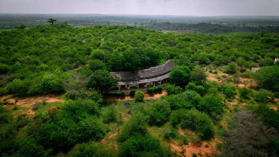 Day, Natural landscape, Bird's eye view