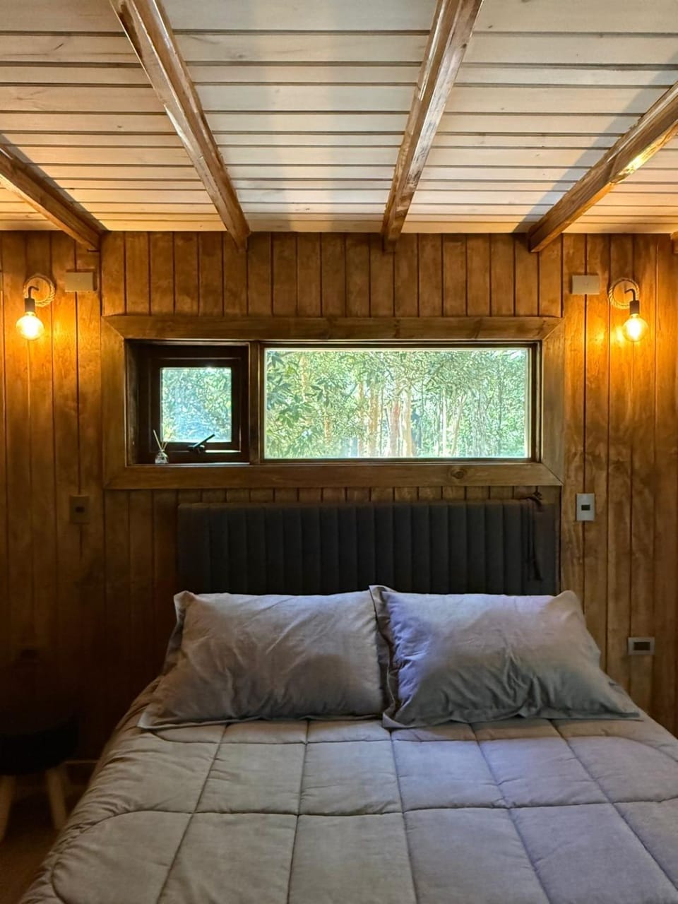 Cabañas Mountain Fox Nature lodge in Los Lagos, Chile