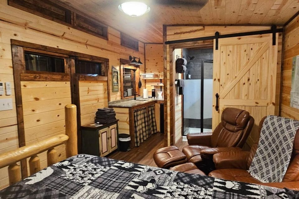 Big View Studio Cabin Cabin in Shooting Creek