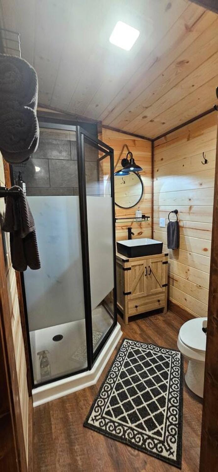 Big View Studio Cabin Cabin in Shooting Creek