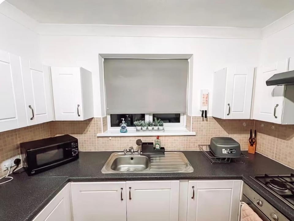 Kitchen or kitchenette, dishwasher