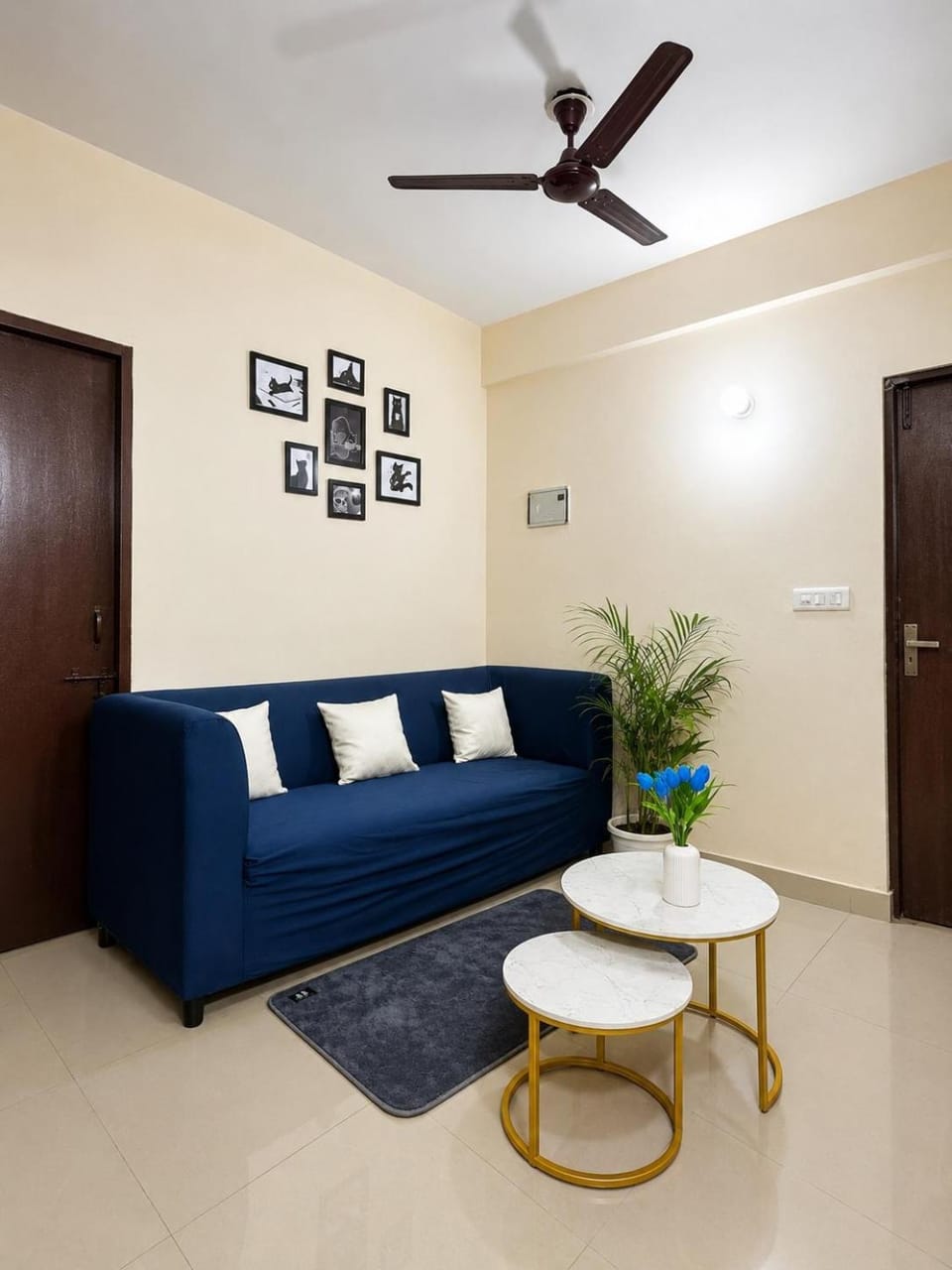 Lavia Homes l 3bhk Premium l Near Amrita Hospital Faridabad Apartment in Noida