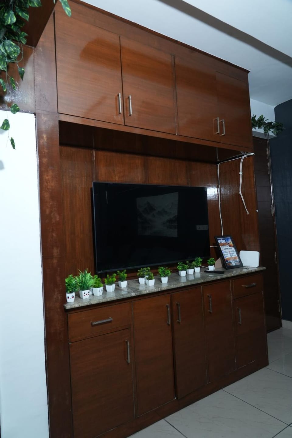 TV and multimedia