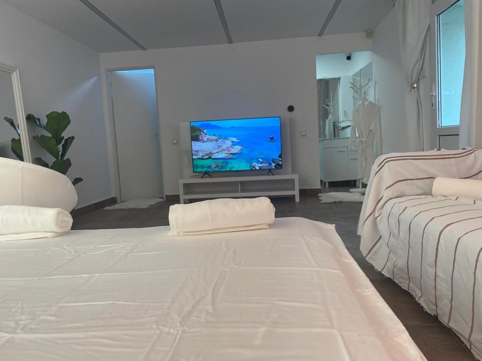 Center Mirror Street Studio Apartment in Cluj-Napoca