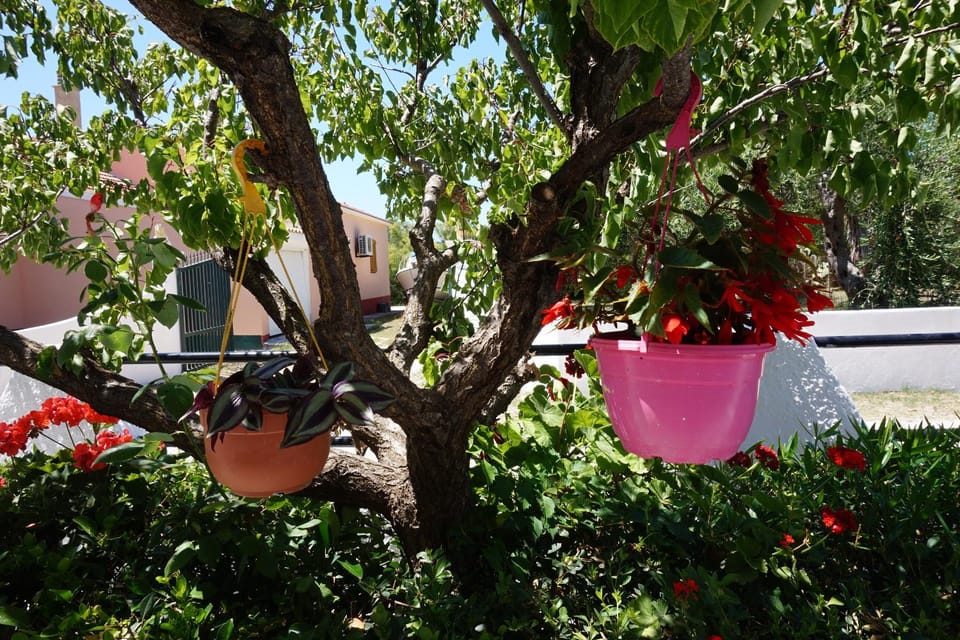 Kapitan Apartment in Corfu - Arillas